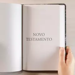 Imagem do Biblia Sagrada Leao Yahweh | NVI | Letra Grande | Capa Dura