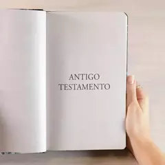 Biblia Sagrada Leao Yahweh | NVI | Letra Grande | Capa Dura - loja online