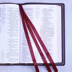Biblia Sagrada | NVI | Premier Collection | Capa Couro Luxo Vinho