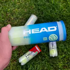 Caja de pelotas de tenis Head PRO - tienda online