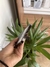 iPhone 12 Pro Max 128GB BAT:88% IMEI:0575 en internet