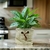 Cachepot Novara - Praticplant 