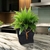 Cachepot Novara - comprar online