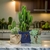 Cachepot Novara - comprar online