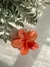 Pregadeira Flor G - Básico e Clássico - Moda Atemporal