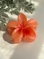 Pregadeira Flor G - loja online