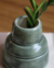 Vaso Pântano - comprar online