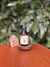 Cordyceps 60ml - comprar online