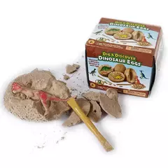 Fósseis ovos de dinossauro
