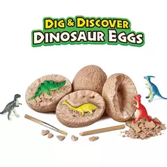 Fósseis ovos de dinossauro - loja online