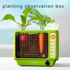 Caixa de Observação para Plantar