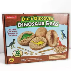 Fósseis ovos de dinossauro