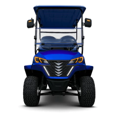 Carrinho de Golfe Elétrico 4000W de Potência 4 Lugares | Azul - comprar online