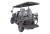 Carrinho de Golfe Elétrico 5000W de Potência 4 Lugares | Preto - comprar online