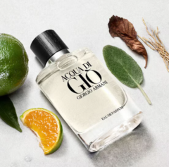 Giorgio Armani Acqua di Giò Eau de Parfum - Perfume Masculino