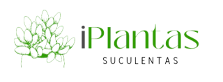 iPlantas Suculentas