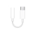 Adaptador Apple USB-C para conector de fones de ouvido P2 de 3,5 mm ORIGINAL - comprar online