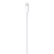 Cabo Apple USB-C para Lightning 1M Apple Original na internet