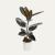 FICUS ELASTICA BURGUNDY P17 - comprar online