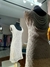 Vestido corto beige