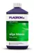 Alga Bloom PLAGRON