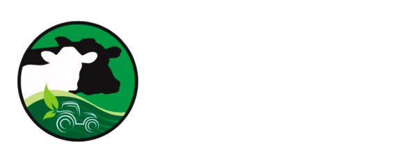 Patos Rural