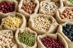 Banner de la categoría Legumbres