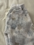 Pants Polar Soft en internet