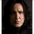 Varita Harry Potter Original Ollivander Personaje Severus Snape en internet