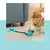 Dispenser Petisco - comprar online