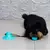 Imagem do Dispenser Petisco
