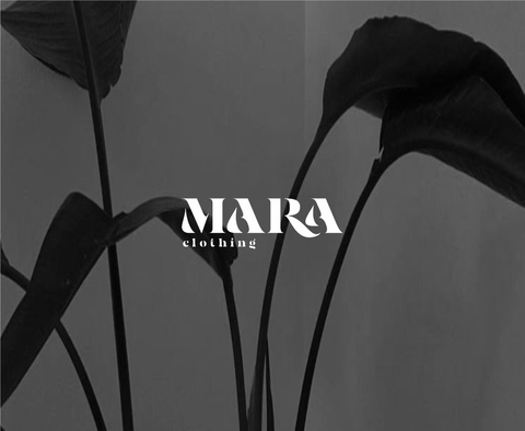 Carrusel Proyecto Mara