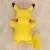 Pikachu Luminaria