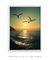 Imagem do Quadro Decorativo Gaivotas Sunset