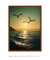 Quadro Decorativo Gaivotas Sunset - Myrrha