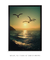 Imagem do Quadro Decorativo Gaivotas Sunset