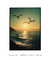 Quadro Decorativo Gaivotas Sunset - comprar online