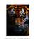 Quadro Decorativo Olhar do Tigre - comprar online