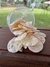 QUEIJO CHIPS REINO - comprar online
