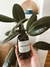 HOME SPRAY SWEET BLOSSOM