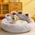 Sofá-Cama Pet - TOP Diversidades
