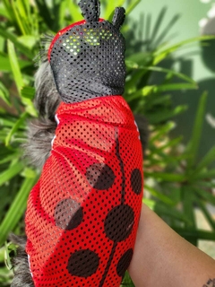 Fantasia Pet Joaninha Respirável na internet