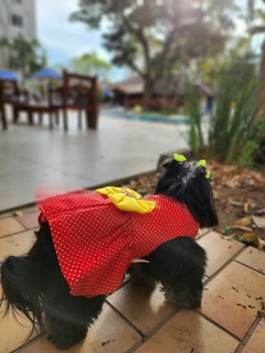 Vestido Melancia TAM M E G na internet