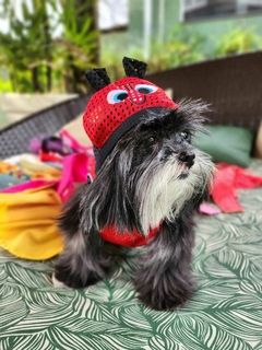 Fantasia Pet Joaninha Respirável - comprar online