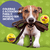 Banner de Dindin Pet Center