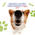 Banner de Dindin Pet Center