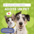 Banner de Dindin Pet Center