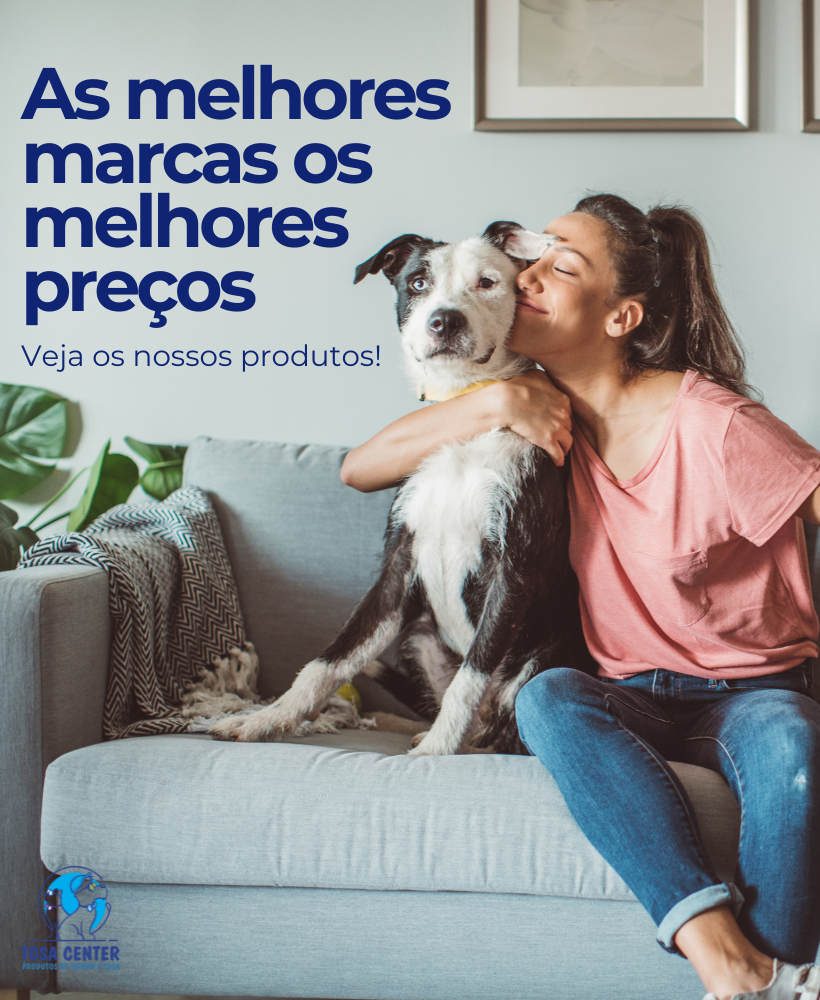 Carrossel 1