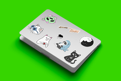 Banner de la categoría Chic