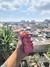 Goze+ – Estimulante Feminino em Gel - comprar online
